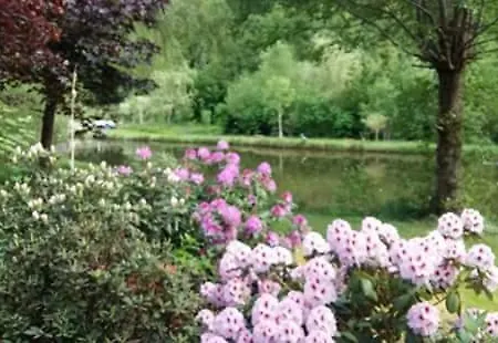 Chticabane Casa de hóspedes